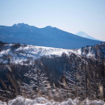 八ヶ岳の向こうに富士山、手前は八子ヶ峰かな。