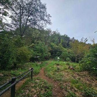 このさきの峠で