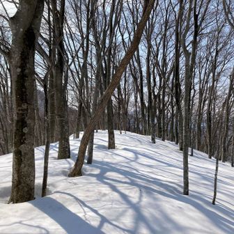 太陽の光が気持ち良き😄