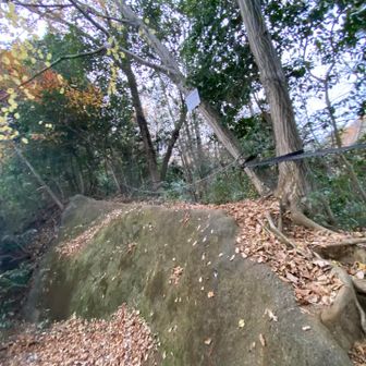 こんなところを降りる時も踵に重心を意識して。