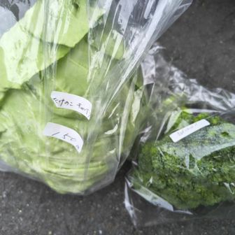 帰りに駐車場の売店で、野菜を購入。
たけのこキャベツ（大玉）￥150
ブロッコリー￥100

売店の野菜はどれもお安いですね😊