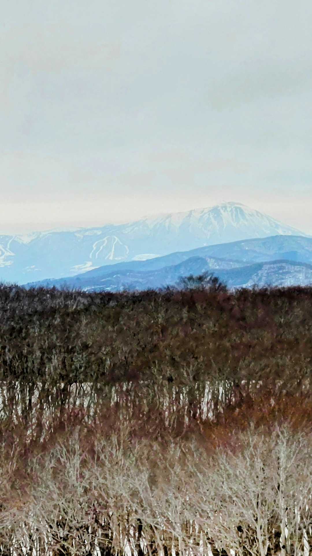 先週とは違う角度から眺める岩手山〜🗻✨