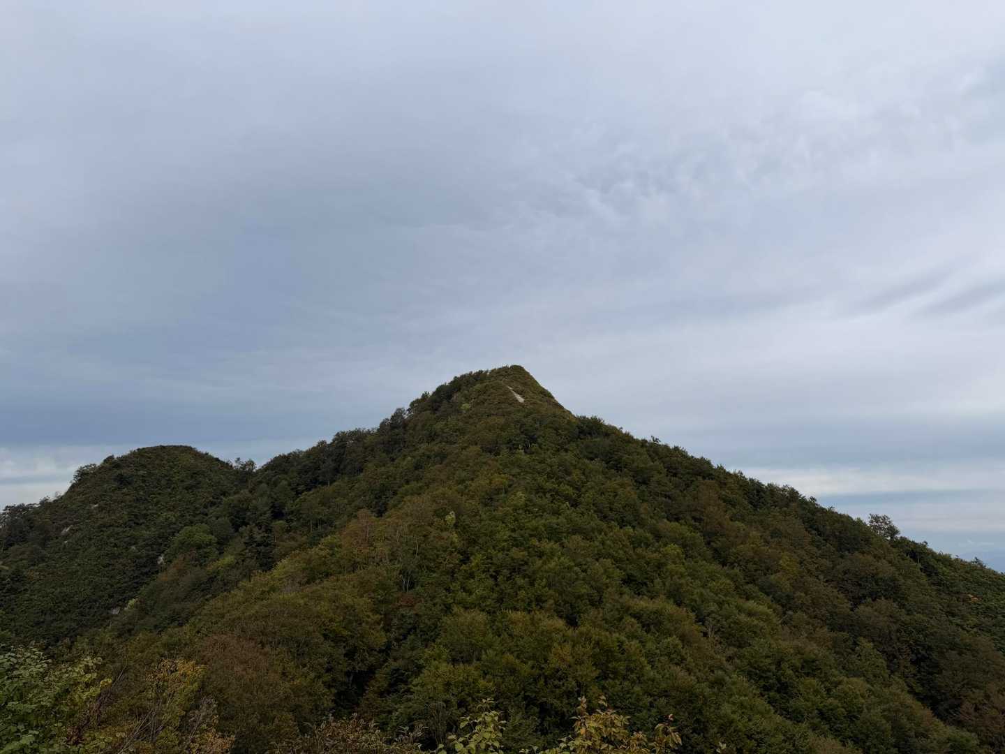 飯士山 往復コースの写真