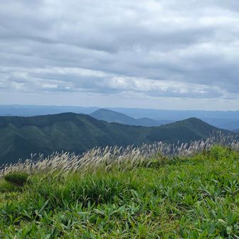 草原の芒🌾も風にそよいで...
すっかり秋ですね🎵
