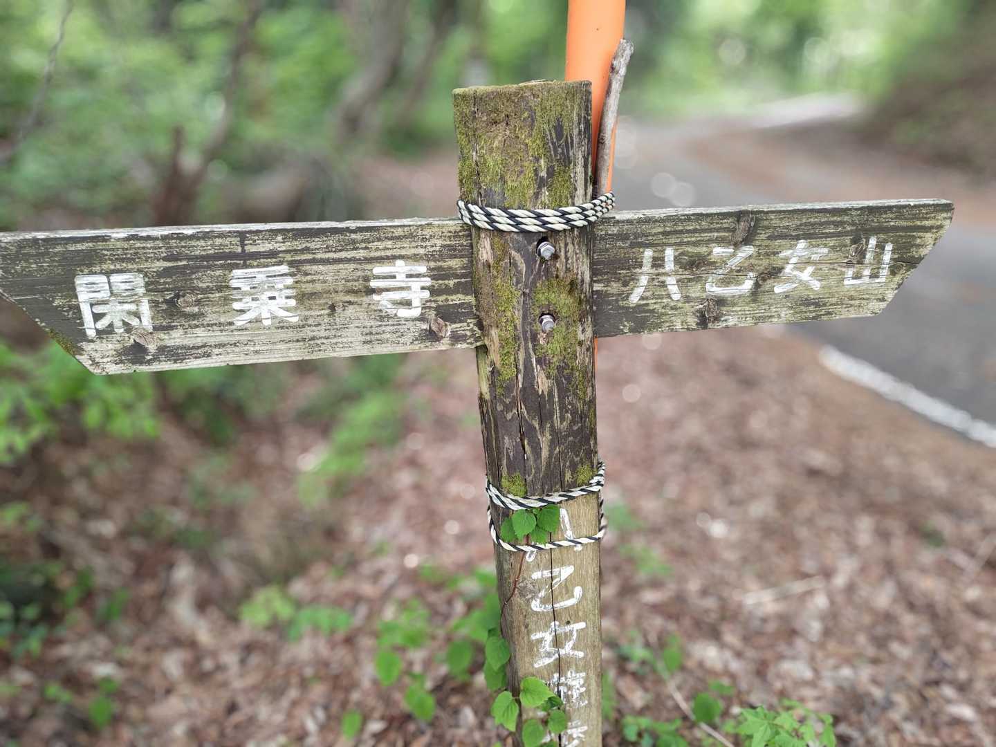 八乙女山 | 風鎮神事の里山、散居村越しに立山連峰を仰ぎ大杉が迎える頂の写真