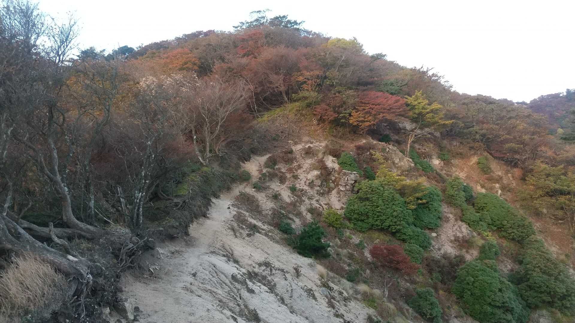 三池岳の写真
