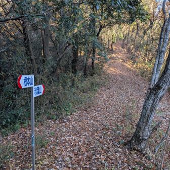 いったん砂利道に出て、秋葉山への山道へ。