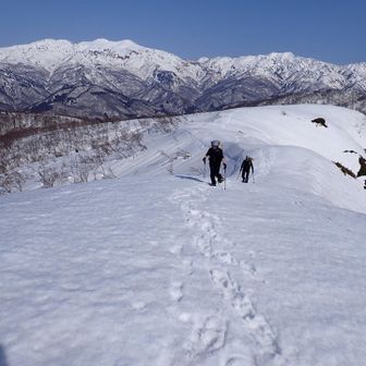 白山を背に
雪は緩んで来てるのでずっとワカンでした。