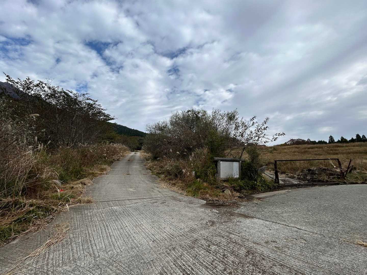 舗装路を歩いて牧場🫏の門の横を潜り進んませて頂きました。