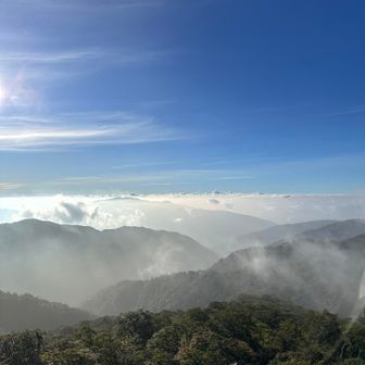 美味しそうな雲海も