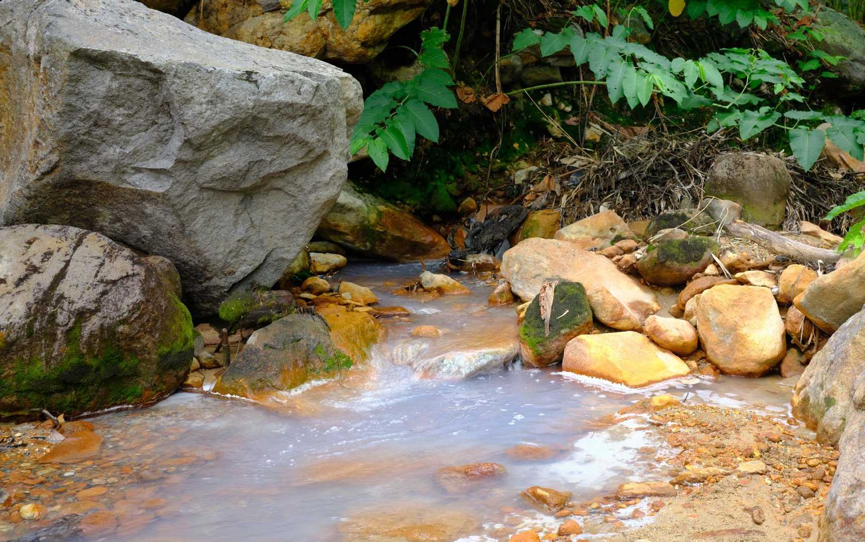 どう見ても温泉混じってて飲用に適さない