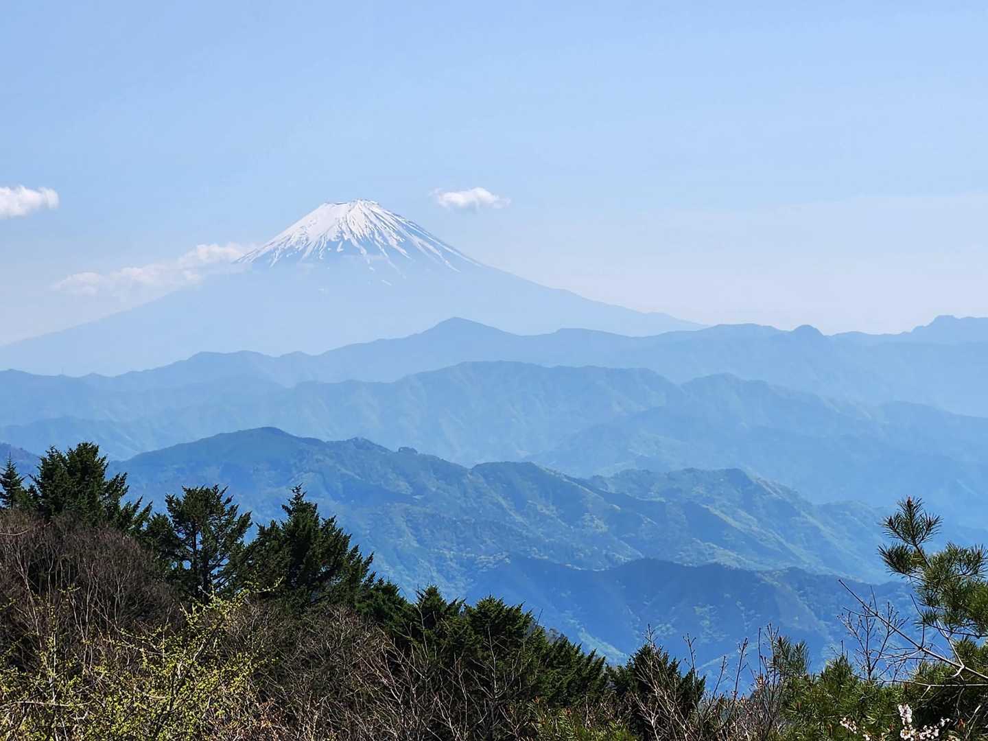 ホント素晴らしい景色
