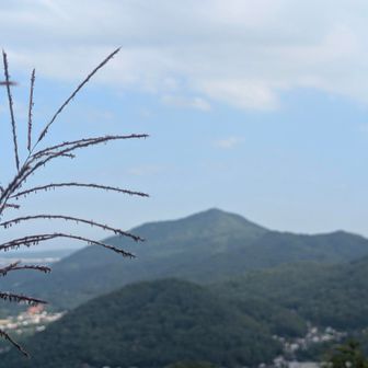 藻岩山でもBEER HIKE開拓してみるかな🍺