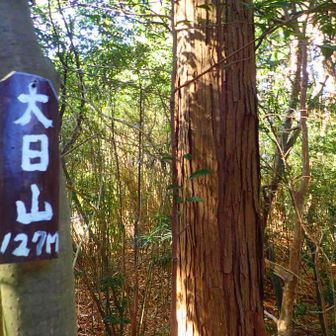 127メートル
近くて良かった〜