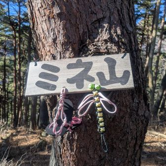 途中にあるミネ山