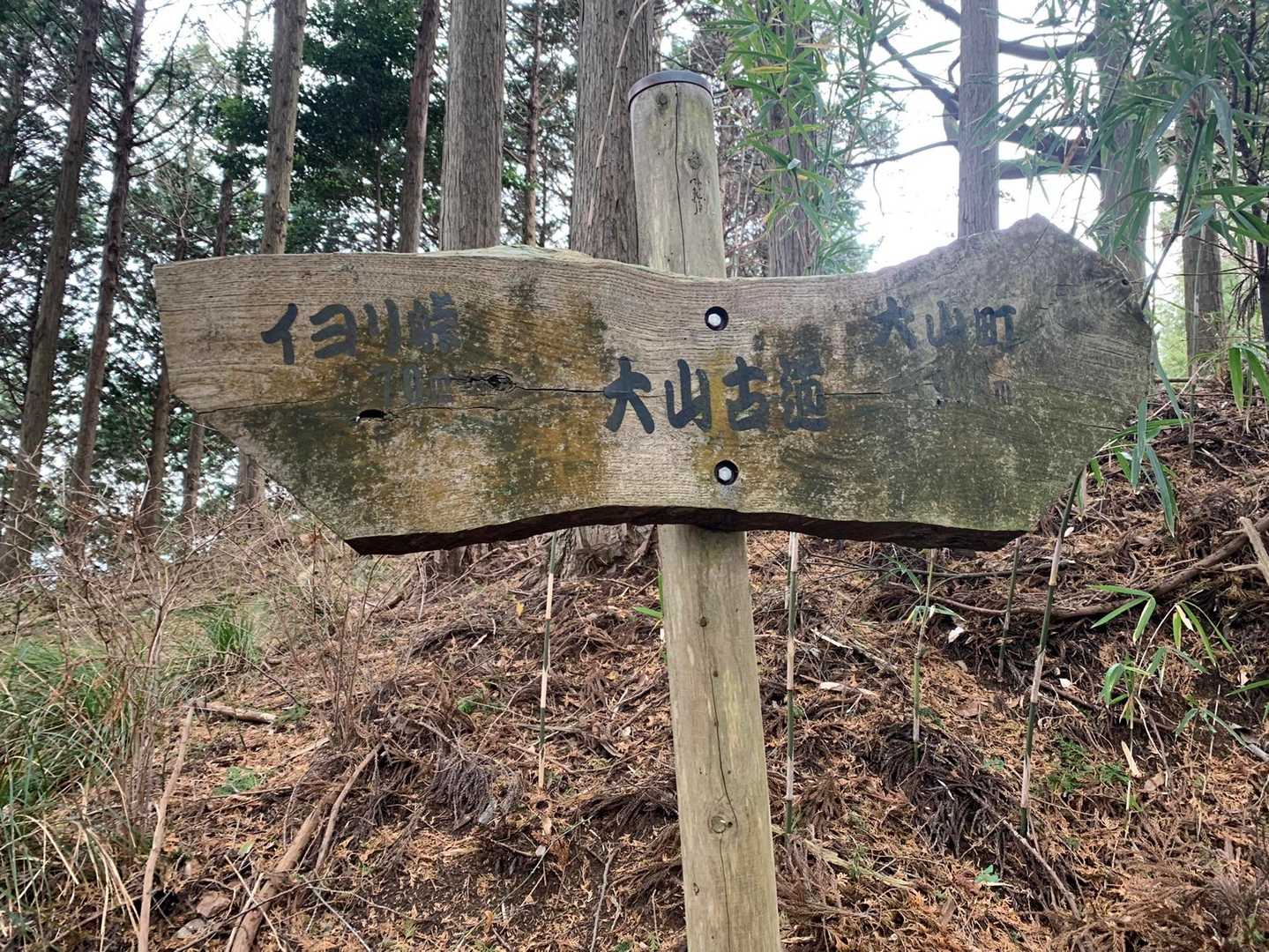 大山古道。🌲🌲🌲
まさにそんな雰囲気💕