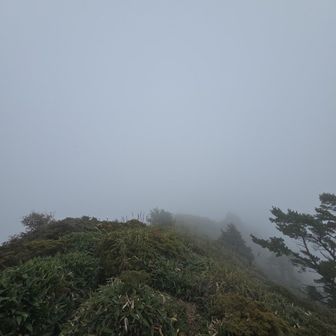 何にも見えません