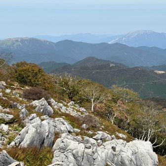 東ボタンブチです
石灰石の背景は、左に霊仙山、右に伊吹山です