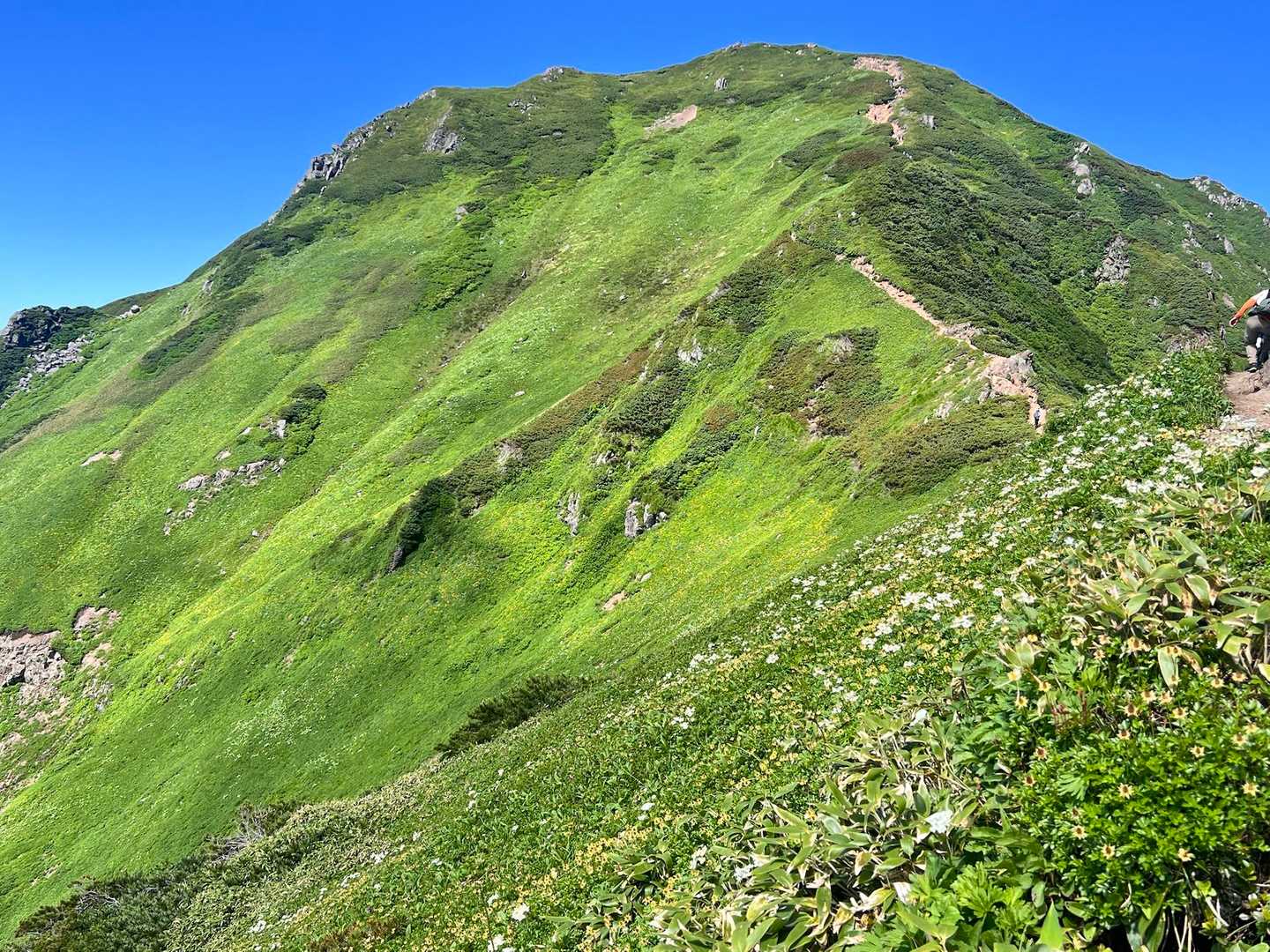 お花畑と山頂〜
