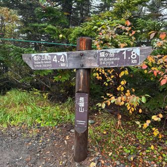 山頂だってーのに、森の中…涙