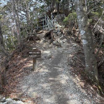 両神山の頂上手前を彷彿させるような鉄階段