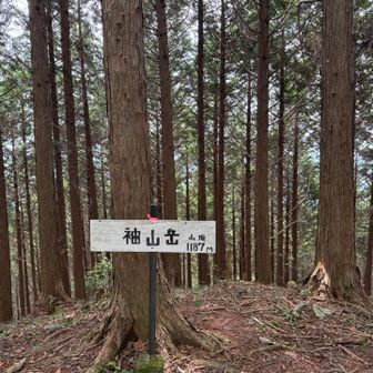 袖山も眺望はありません。
