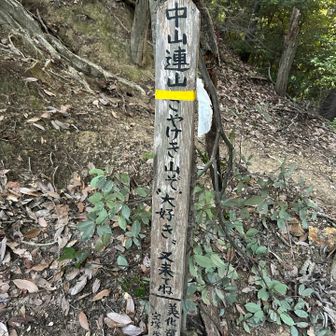 ロックガーデンへの分岐。さて、いきますぞ。