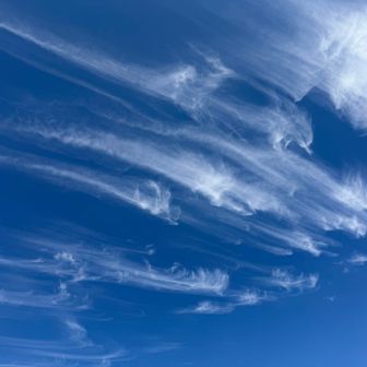 空きれい