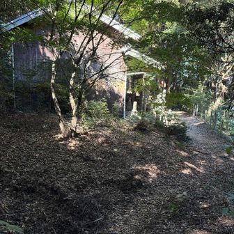 神社です。