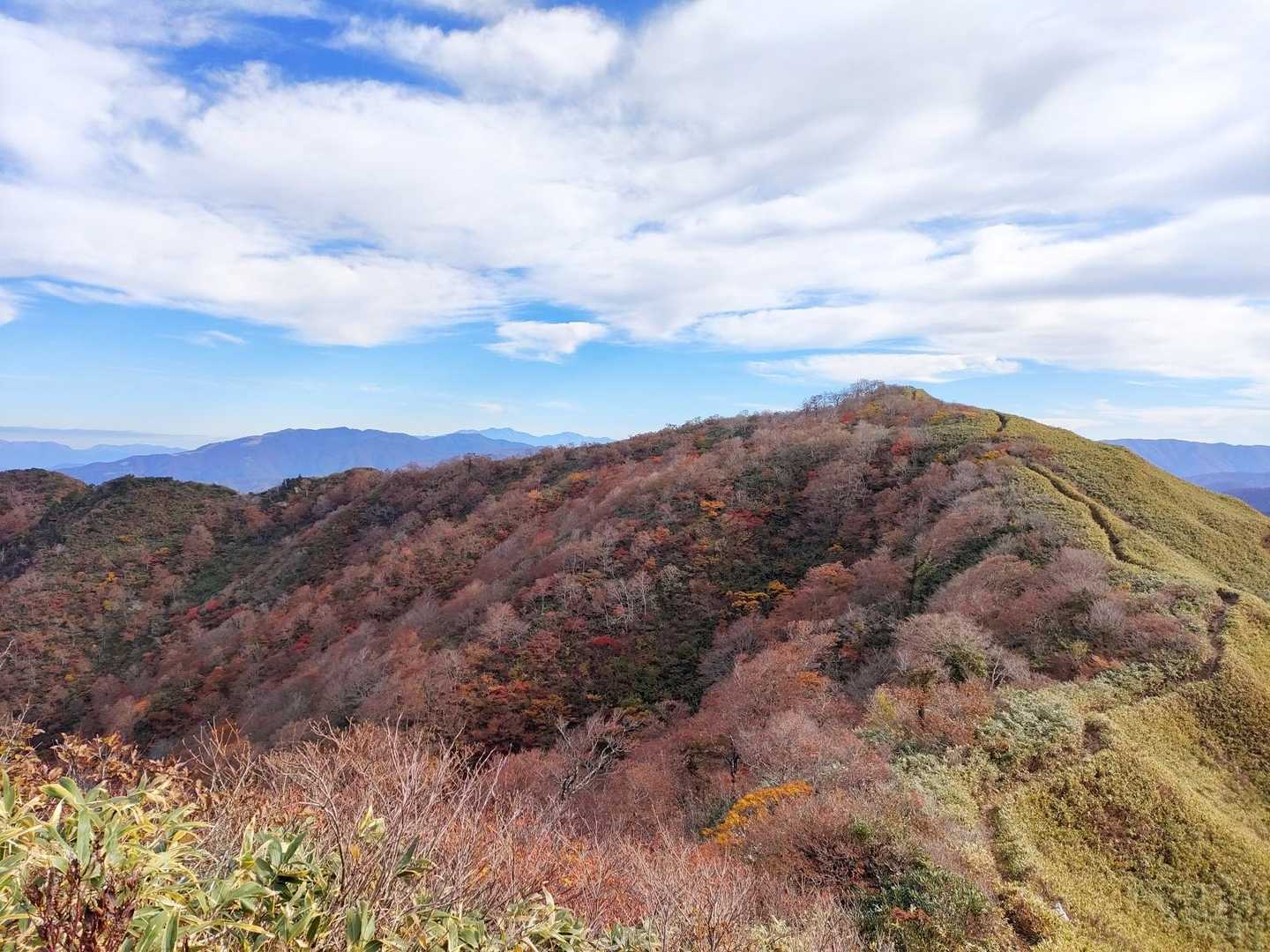 白倉岳は稜線の北側で紅葉が目立つ。