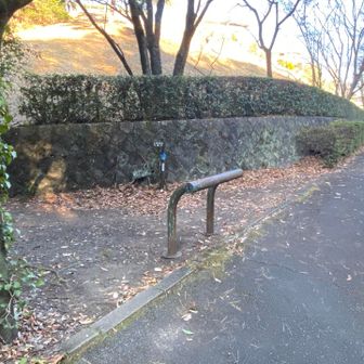 ここを左に入ると登山道。よろしくお願いします！