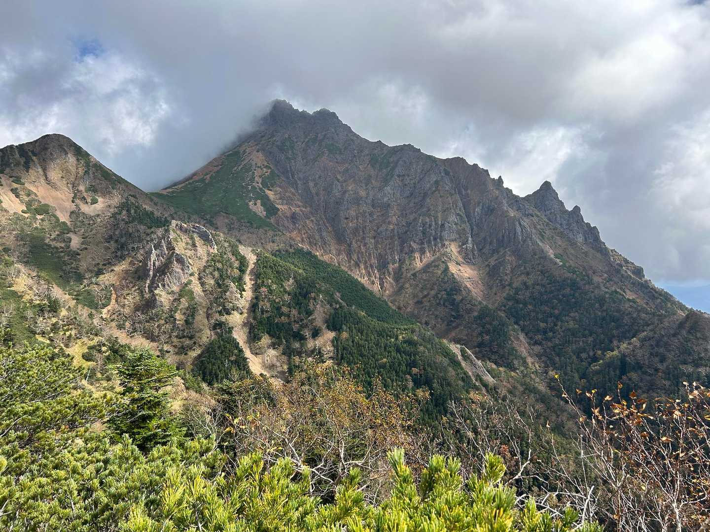 山肌だ〜