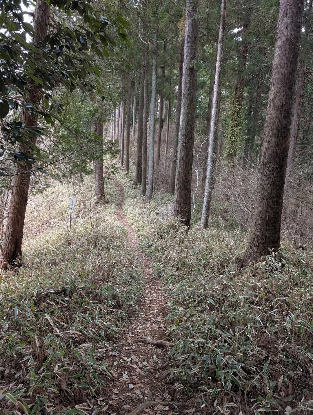 急がなくちゃ💦