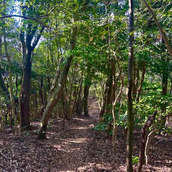 山頂から展望所へ向かう道