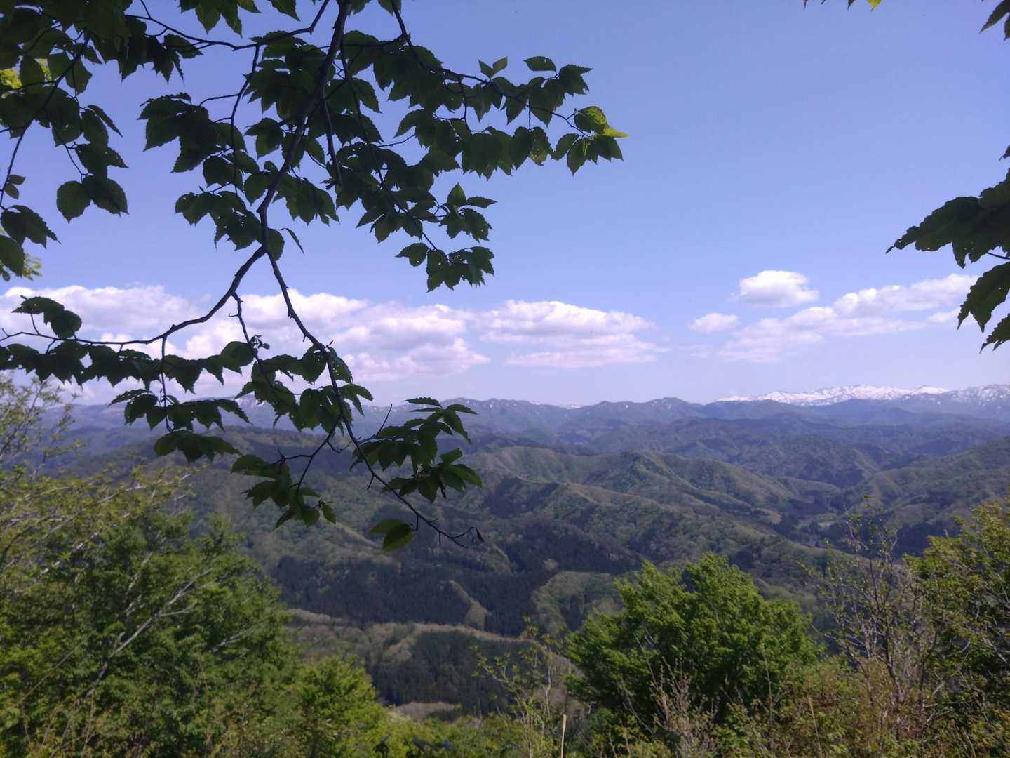 小俣登山口-蛇逃峠-日本国-蔵王堂登山口-小俣バス停 周回コースの写真