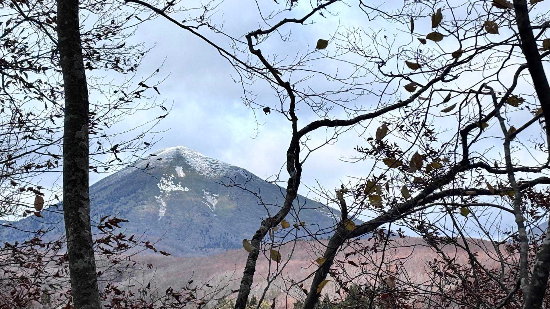 高田大岳