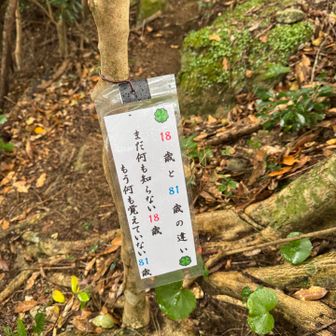 ちょいちょい俳句があるんだけど
18歳と81歳シリーズの沼にハマる😂