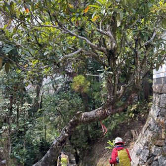 山門を通り過ぎました。