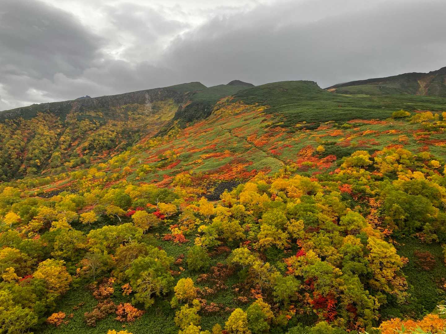 永山岳へ向かう途中の紅葉🍁