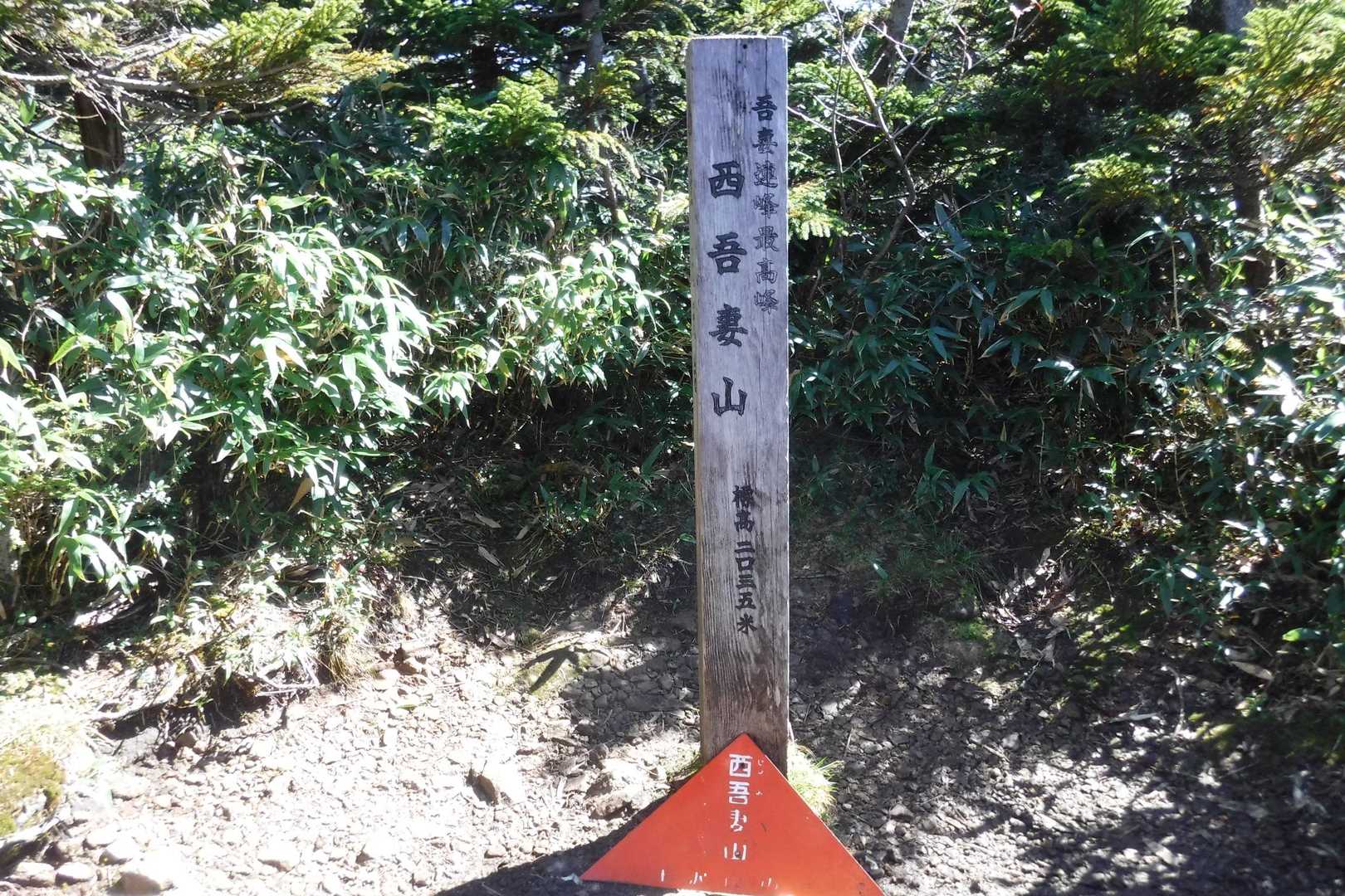 山頂は狭くて木々の中にひっそりとありました。