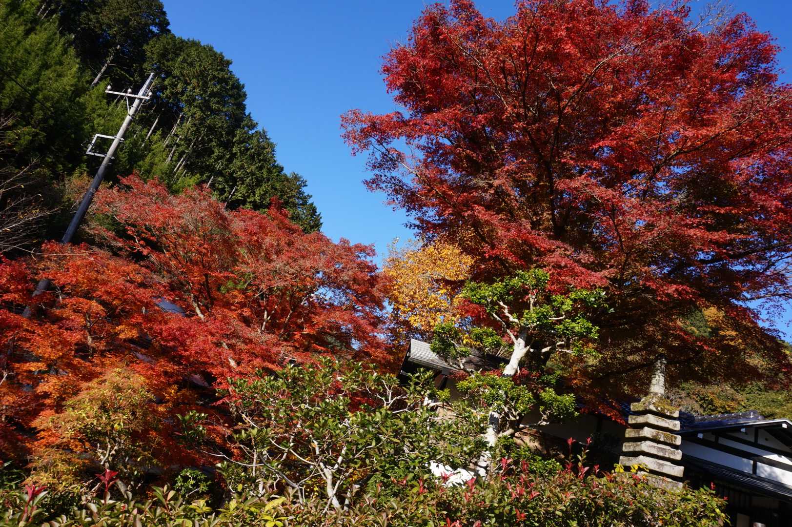 途中に高源寺があり紅葉もある