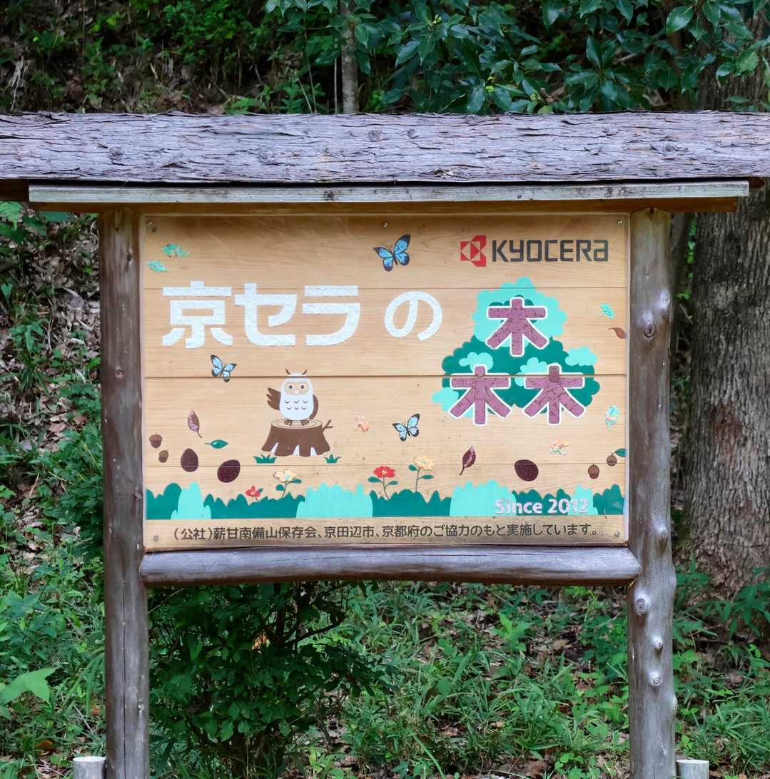 京セラの森なんだ🌳
可愛い絵🦉🦋🌼🍂✨