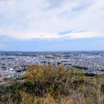山頂からの眺め