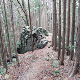 するぎにあるマーキング岩😄