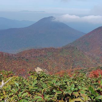 下山します
激下りを必死に降りていたら
道を間違えて、ルート復帰するため背丈ほどの笹藪漕ぎ😅