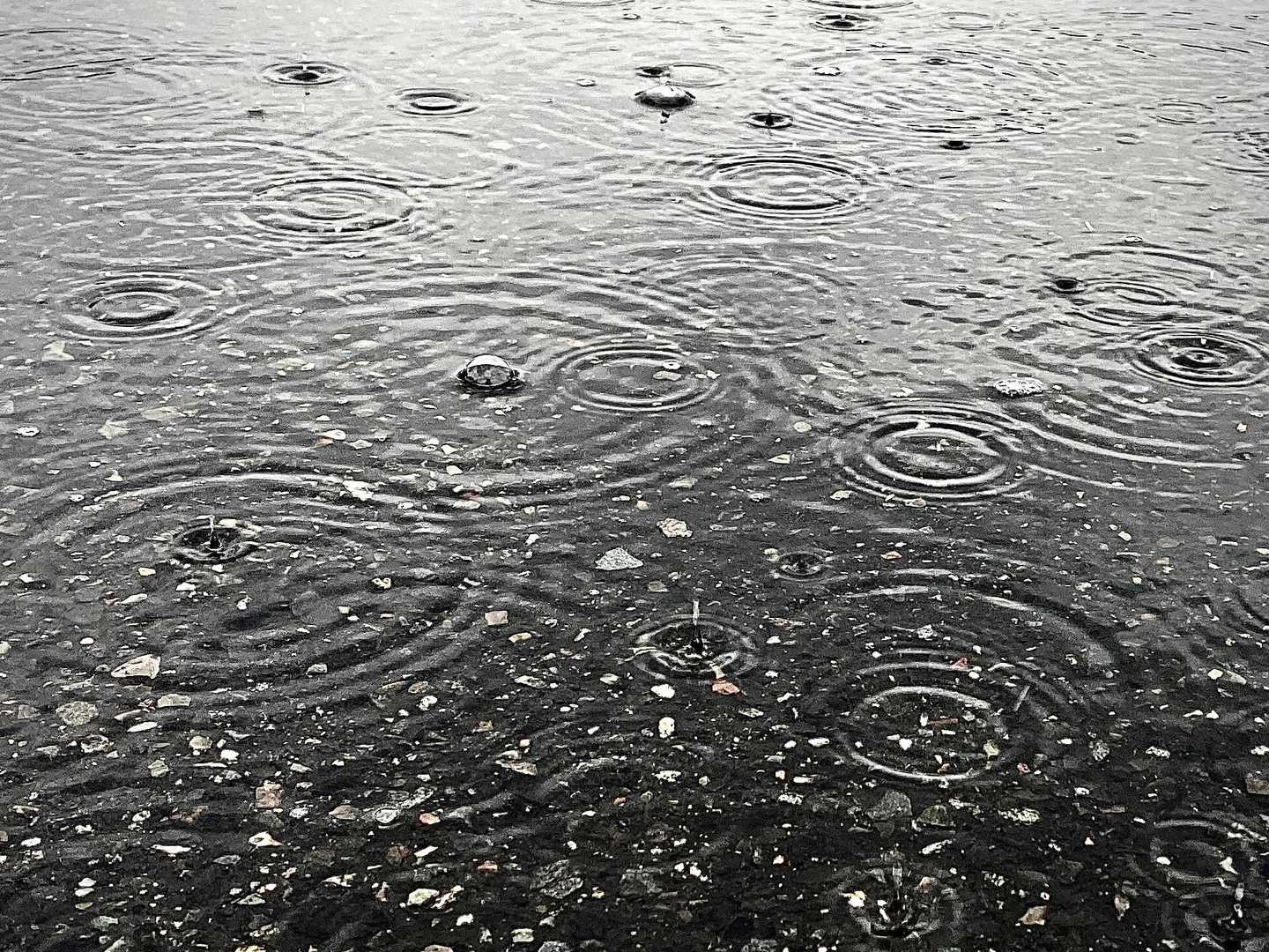 駐車場に戻ってきました。こんなに水たまりができるくらい降ってます☔️