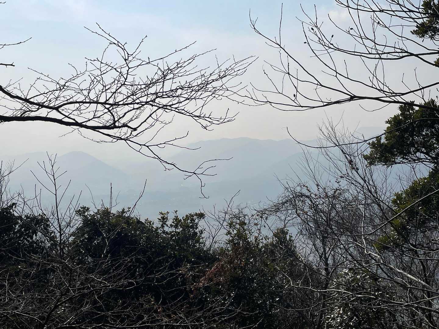 南西は、さらに真っ白😶‍🌫️