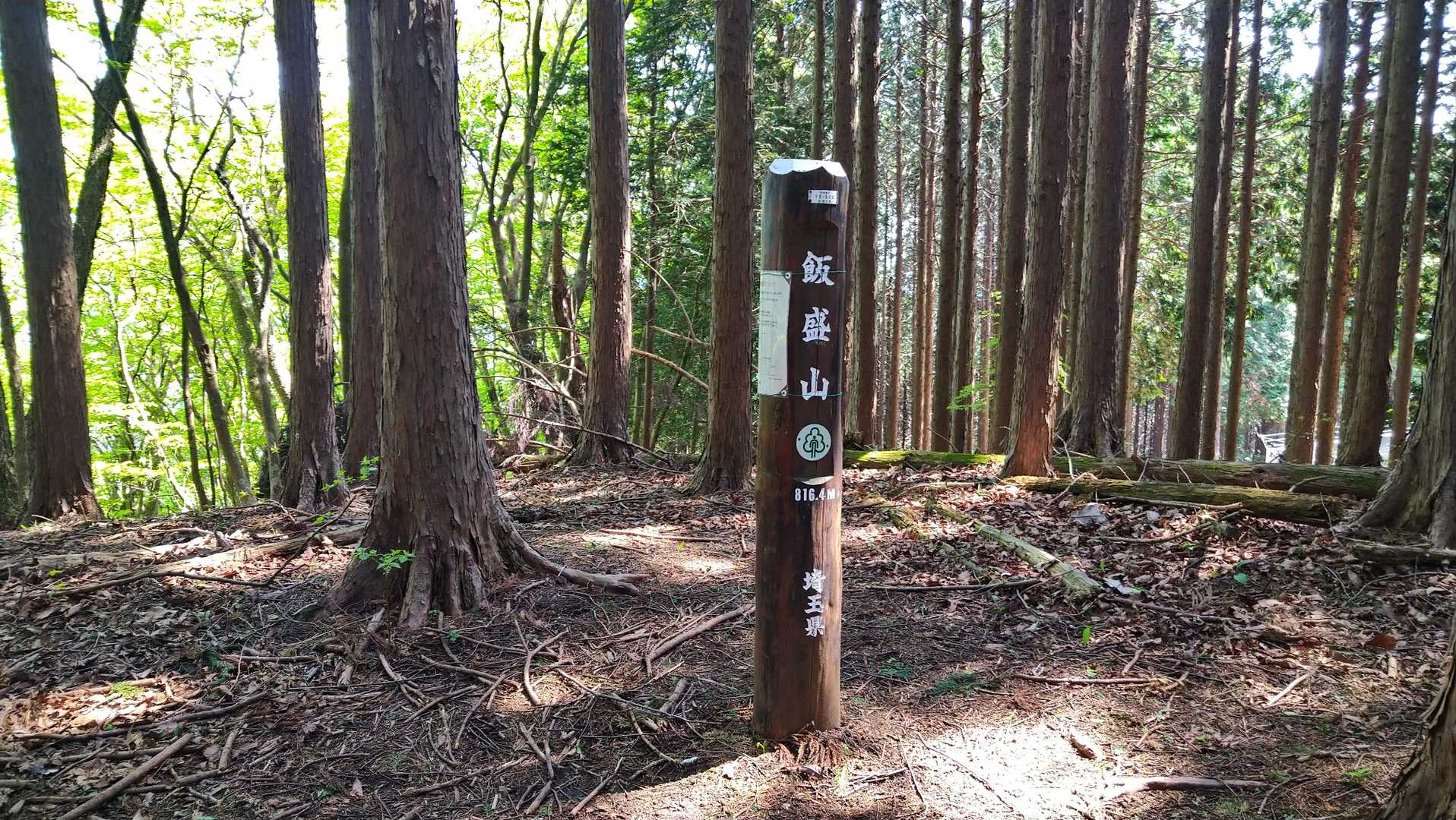 十一座目　飯盛山