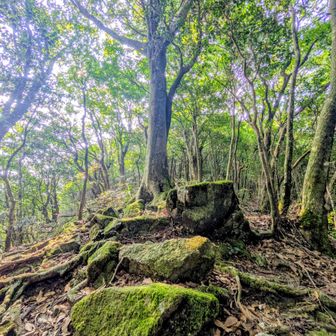 猟師岩山道中