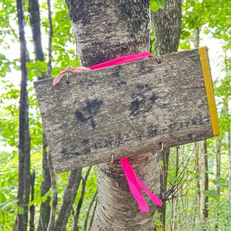 往路で気づかなかった中嶽の山頂標識